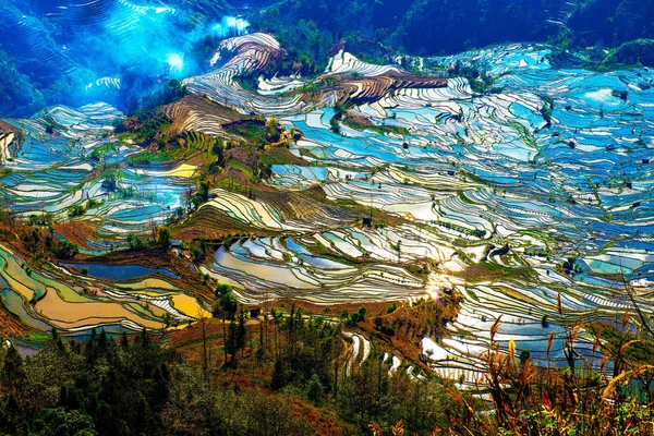 Landscape Terraced Rice Fields Honghe Hani Rice Terraces One Unesco — Stock Photo, Image