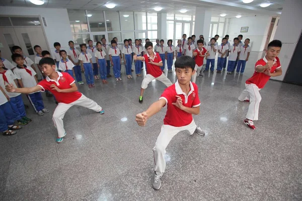 Chińskich Trenerów Uwidocznienia Sztuk Walki Wushu Przed Chińskich Studentów Podczas — Zdjęcie stockowe