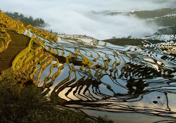 Picture Shows Beautiful Landscape Hani Rice Terraces Yuanyang County Southwest — Stock Photo, Image