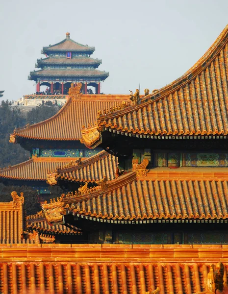 Uitzicht Traditionele Chinese Hallen Het Paleis Museum Ook Bekend Als — Stockfoto