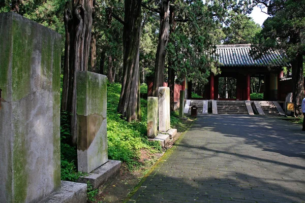 Pohled Hřbitov Konfucius Nebo Kong Lin Qufu City Provincie Shandong — Stock fotografie