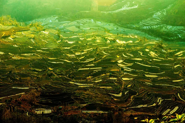 Landscape Terraced Rice Fields Honghe Hani Rice Terraces One Unesco — Stock Photo, Image