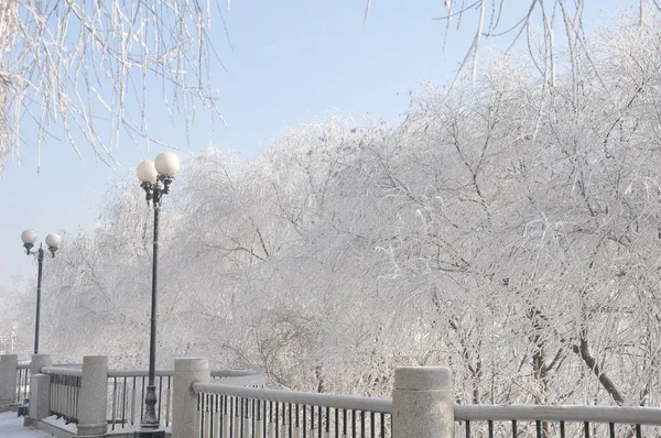 Vue Paysage Jilin Rime Jilin Province Jilin Nord Est Chine — Photo