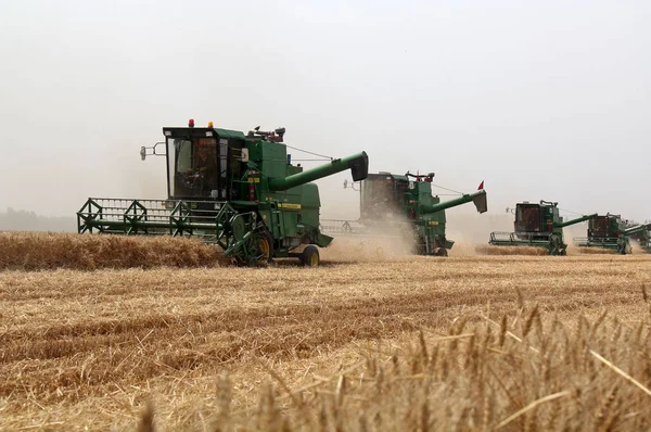 Los Agricultores Chinos Manejan Cosechadoras Para Cosechar Trigo Campo Granja —  Fotos de Stock