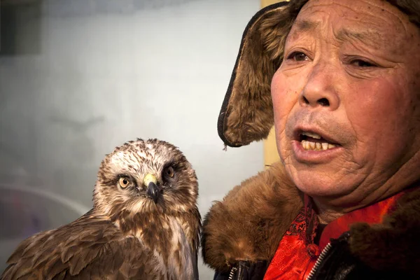 Een Chinese Jager Toont Zijn Valk Tijdens Tweede Manchu Falcon — Stockfoto