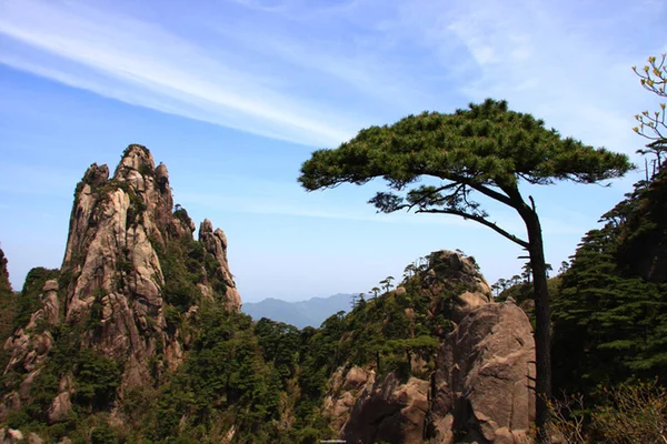 Paisaje Pino Del Parque Nacional Monte Sanqingshan Ciudad Shangrao Provincia —  Fotos de Stock