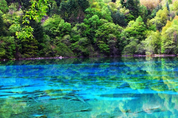 Landschaft Des Fünf Farben Teiches Jiuzhaigou Tal Kreis Jiuzhaigou Aba — Stockfoto