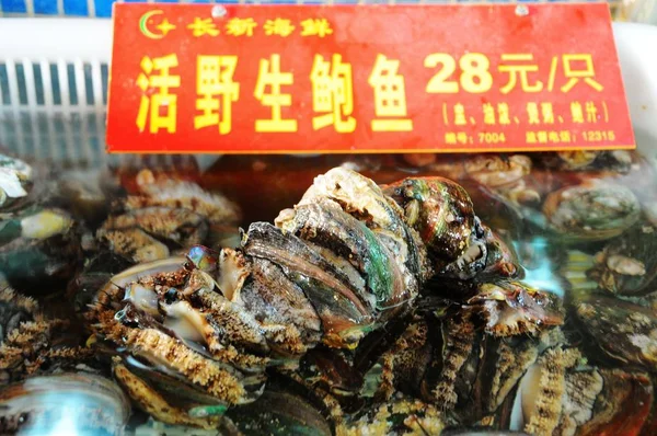 Wild Abalone Priced Rmb Each Sale Market Qingdao East Chinas — 스톡 사진