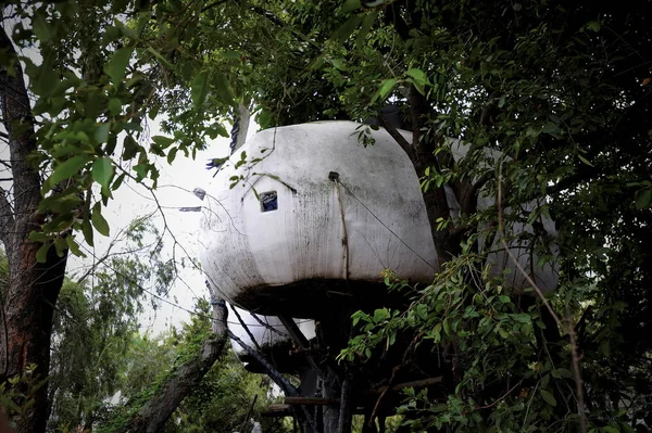 View Bird Nest Tree House Designed Built Elmit Yuezi Chen — стоковое фото