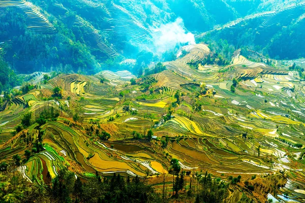Landskap Terrasserade Risfält Sydkinesiska Hani Risterrasser Unesco Världsarv Yuanyang County — Stockfoto