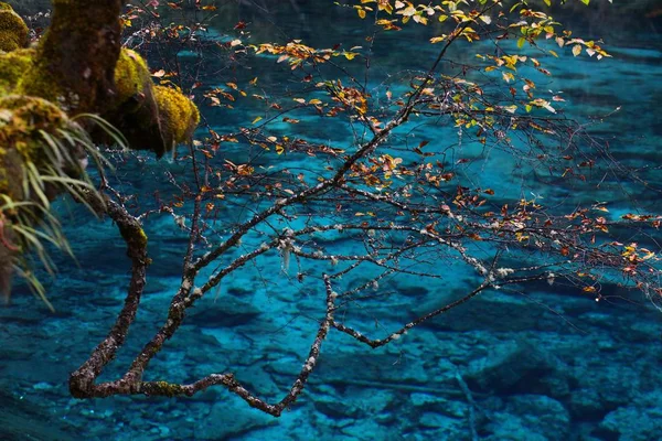 Paesaggio Della Valle Jiuzhaigou Autunno Nella Contea Jiuzhaigou Prefettura Autonoma — Foto Stock