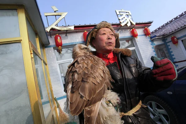 Chinese Hunter Shows His Falcon Second Manchu Falcon Hunting Cultural — Stock Photo, Image