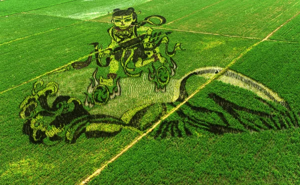 Una Pintura Arroz Con Cáscara Nezha Nalakuvara Exhibe Campo Arroz —  Fotos de Stock