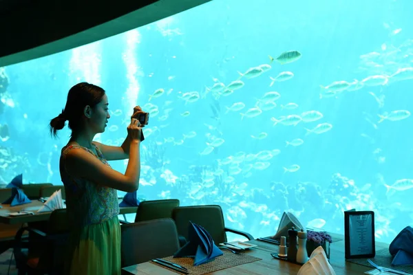 Een Chinese Klant Neemt Foto Van Het Onderwaterleven China Eerste — Stockfoto