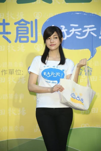 2014年9月18日 台湾女星米歇尔 陈在台湾台北举行的销售可再利用包的主席活动中摆姿势 — 图库照片