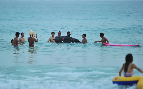 Turistas Posar Com Golfinho Encalhado Para Fotos Resort Praia Leste — Fotografia de Stock