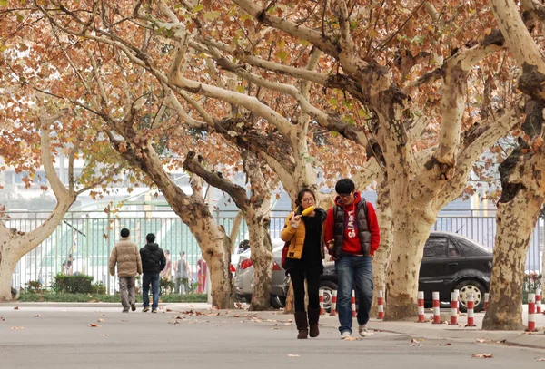 2012年11月26日 中国四川省成都市成都电子科技大学校园内 一对夫妇走进校园 — 图库照片