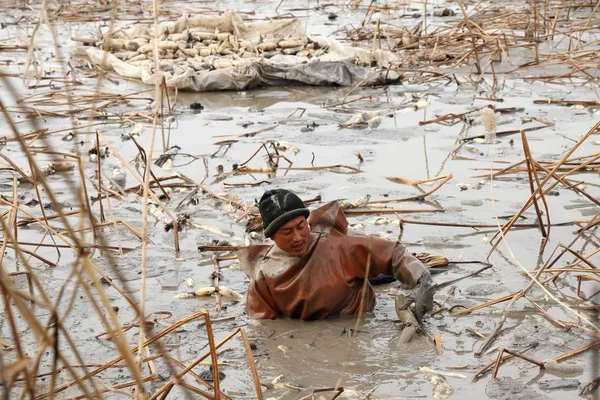 Китайський Працівник Носіння Водонепроникний Одяг Риє Коріння Лотоса Fishpond Місті — стокове фото