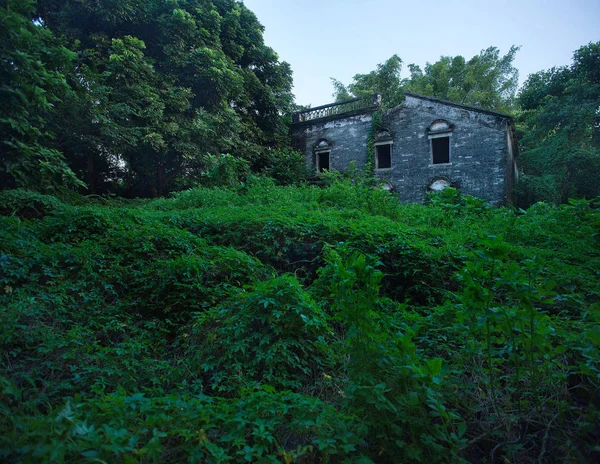 Vista Una Casa Abandonada Rodeada Árboles Vegetación Pueblo Vacío Dengbian — Foto de Stock