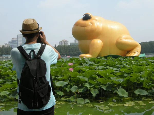 Visitor Takes Photos Meter Tall Golden Fabric Frog Yuyuantan Park — Stock Photo, Image