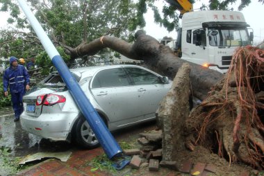 A rescue worker looks at a car crushed by a tree and a lamppost uprooted by strong wind caused by Typhoon Haiyan in Sanya city, south Chinas Hainan province, 10 November 2013 clipart