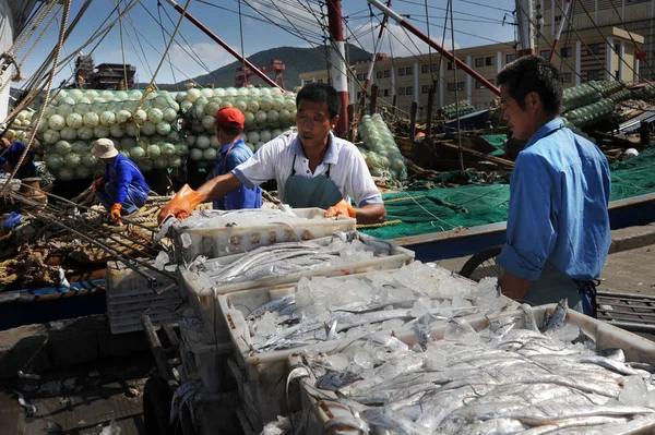 Chiński Fisher Mężczyźni Wybrać Towary Rybackie Porcie Zhoushan Przed Tajfun — Zdjęcie stockowe