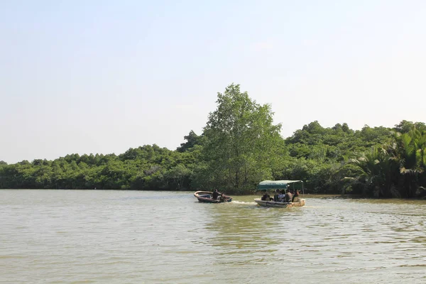 Vue Réserve Naturelle Mangrove Haikou Province Hainan Sud Chine Décembre — Photo