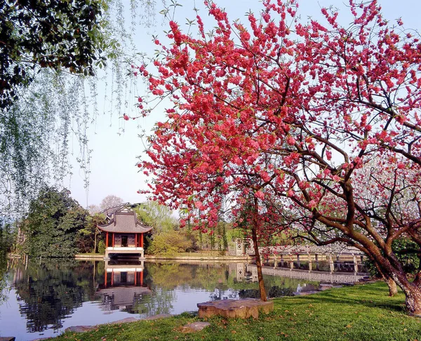 Landschap Van Spring Dawn Causeway Een Van Tien Uitzichten Het — Stockfoto