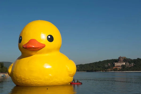 Yellow Rubber Duck Created Dutch Artist Florentijn Hofman Floats Kunming — Stock Photo, Image