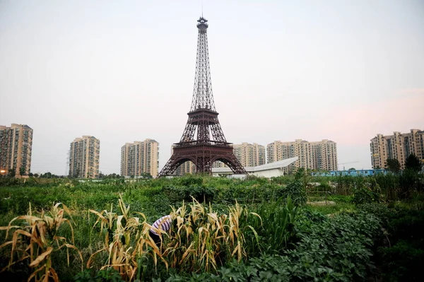 Granjero Chino Riega Campo Cerca Copia Tamaño Medio Torre Eiffel — Foto de Stock