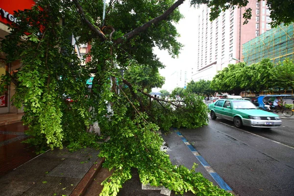 Coche Pasa Por Ramas Árboles Rotas Por Fuerte Viento Causado — Foto de Stock