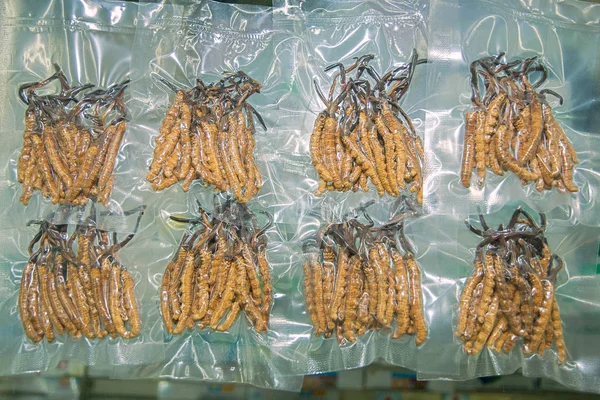ファイル 寄生菌 コーディセプスシネンシスは 深セン市のTcm 伝統的な中国医学 卸売市場で販売されています 南中国広東省 2013 — ストック写真