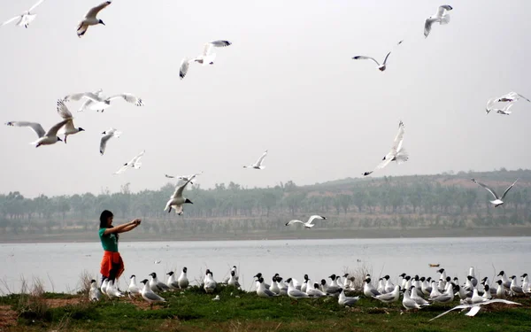 Egy Turista Úgy Fotók Hongjiannao Shenmu Megyében Észak Chinas Shaanxi — Stock Fotó