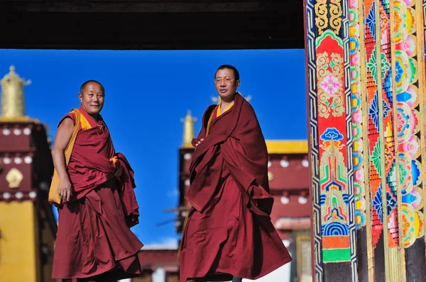 Datei Zwei Lamas Stehen Vor Dem Ganden Thubchen Choekhorling Kloster — Stockfoto