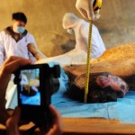 A Chinese expert measures the tumor removed from the 11-year-old female African lion after an operation at Wuhan Jiufeng Forest Zoo in Wuhan city, central Chinas Hubei province, 24 November 2013