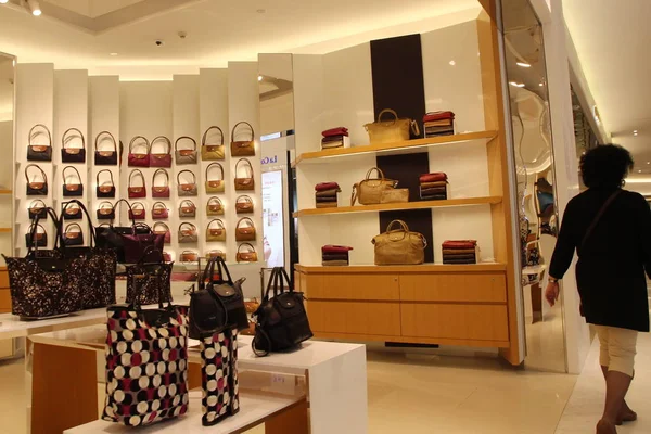 Customer Shops Handbags Louis Vuitton Store Shopping Mall Nanjing City –  Stock Editorial Photo © ChinaImages #241034270