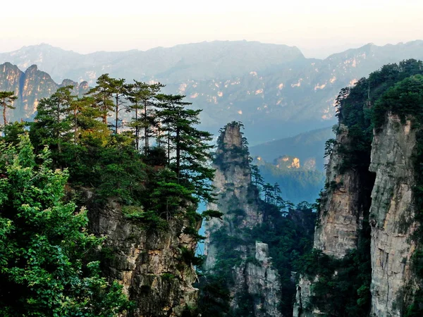 Paisagem Parque Florestal Nacional Zhangjiajie Cidade Zhangjiajie Província Central Chinas — Fotografia de Stock