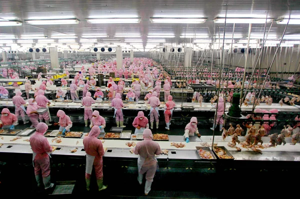 Lavoratori Cinesi Trasformano Pollo Sulla Linea Produzione Una Fabbrica Del — Foto Stock
