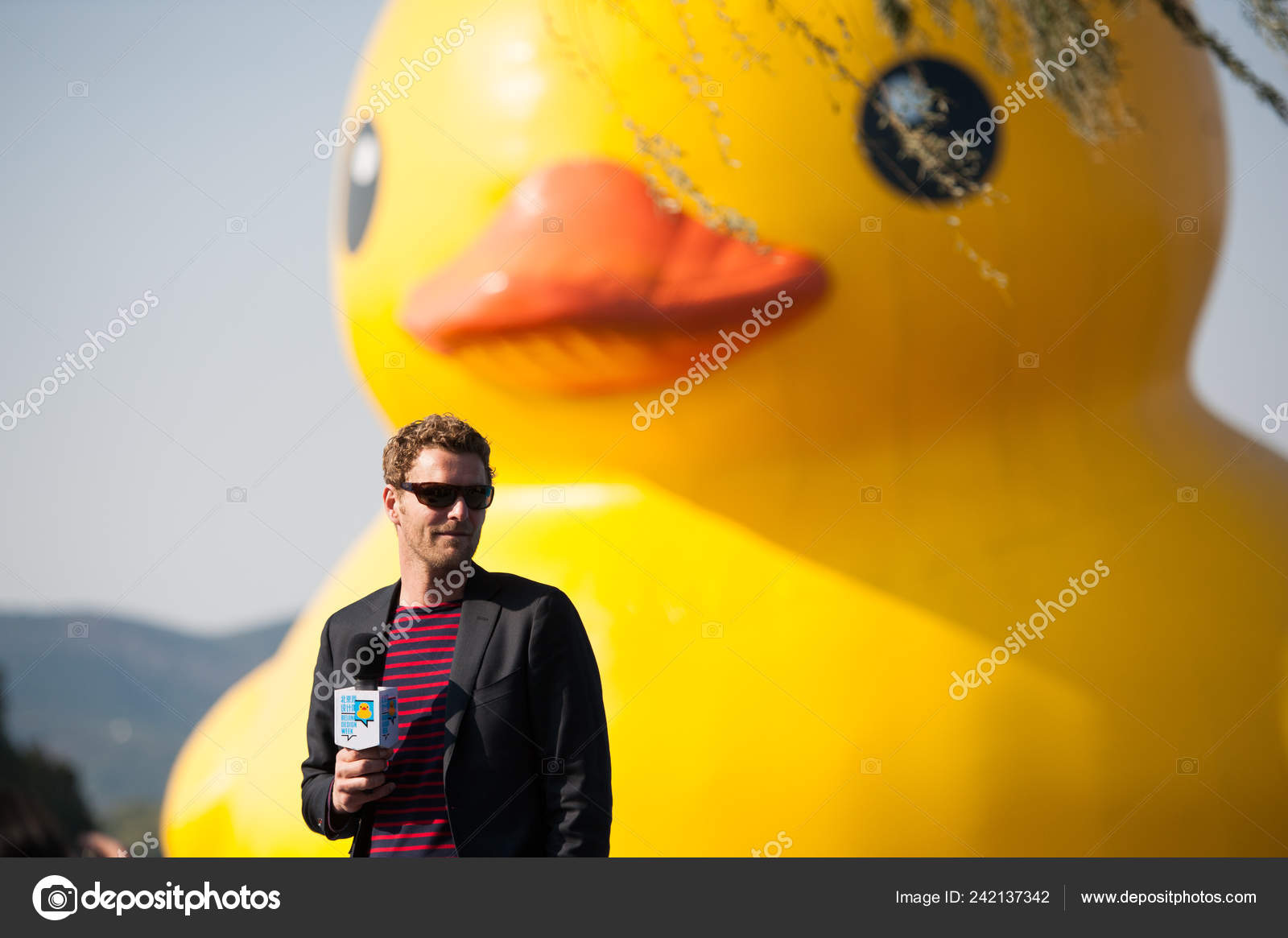 designer rubber ducks