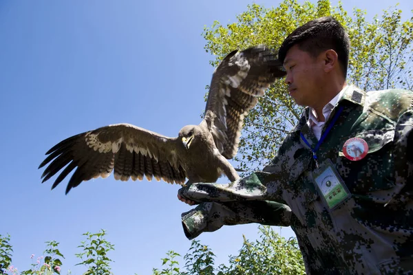 Bir Çinli Avcı Yulou Köyünde Falcon Avcılık Kültür Festivali Lansmanı — Stok fotoğraf