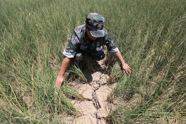 Bir Milis Loudi Orta Çin Hunan Eyaletinde Açılan Bir Çatlama — Stok fotoğraf