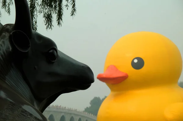 Yellow Rubber Duck Created Dutch Artist Florentijn Hofman Floats Kunming — Stock Photo, Image
