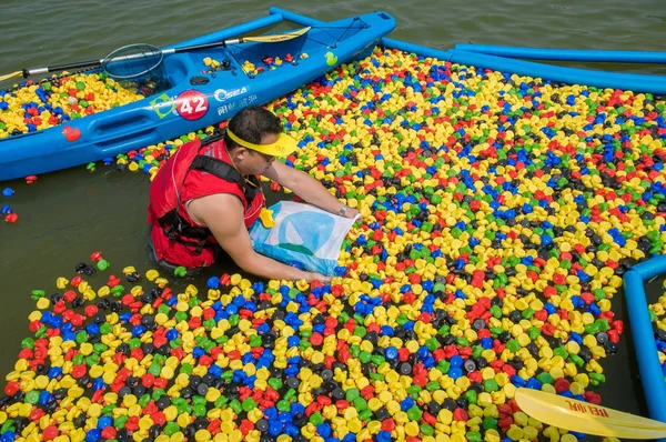 Miembro Del Personal Está Pescando Los Patos Goma Flotando Río — Foto de Stock