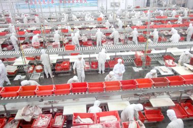 Chinese workers cut up pork at the meat processing plant of Shuanghui Group in Luohe, central Chinas Henan province, 17 June 2013