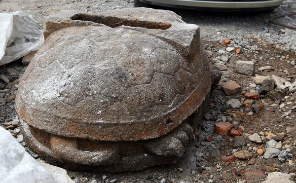 Vista Tortuga Gigante Piedra Descubierta Sitio Construcción Una Escuela Primaria — Foto de Stock