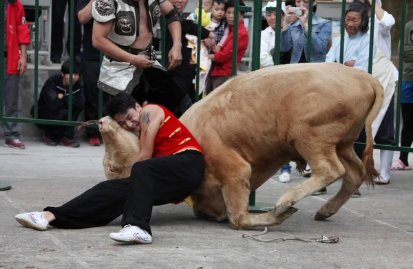 Kinesisk Tjurfäktare Kämpar Med Tjur 2013 Bull Kämpar Festival Jiaxing — Stockfoto