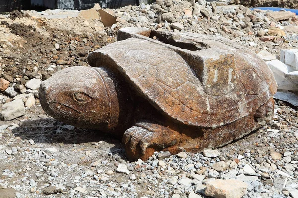 Вид Гигантской Каменной Черепахи Обнаруженной Стройке Начальной Школы Городе Вэньлин — стоковое фото