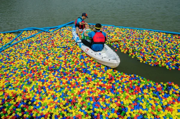 Membri Dello Staff Stanno Pescando Anatre Gomma Galleggianti Nel Fiume — Foto Stock