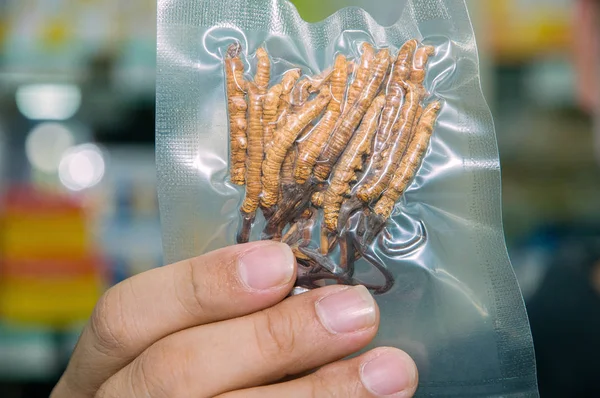 売り手は 深セン市のTcm 伝統的な中国医学 卸売市場で寄生真菌 コーディセプスシネンシスを示しています 南中国広東省 2013 — ストック写真