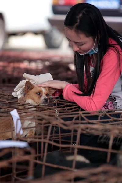 Voluntario Bienestar Animal Acaricia Perro Enjaulado Kunming Suroeste Provincia Chinas — Foto de Stock